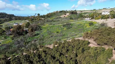1560 Camino Corto, Fallbrook, CA 92028 photo 22