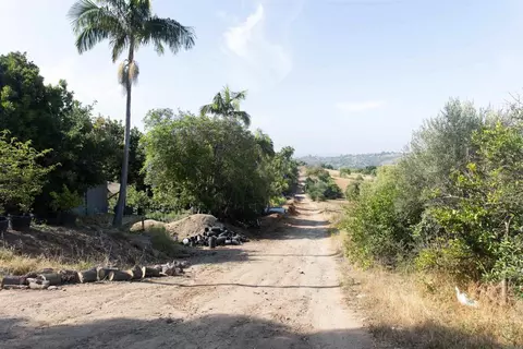 3129 Reche Rd, Fallbrook, CA 92028 photo 22