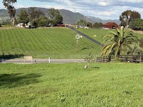 1851 E Mission Rd, Fallbrook, CA 92028 photo 8