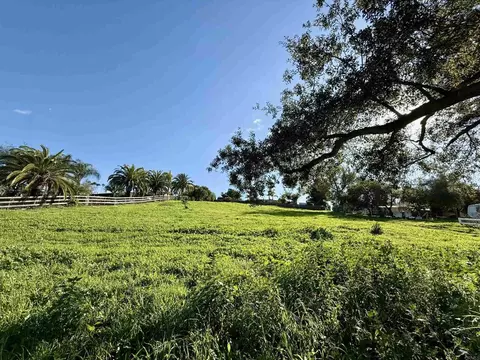 1851 E Mission Rd, Fallbrook, CA 92028 photo 23