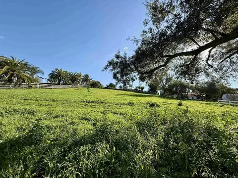 1851 E Mission Rd, Fallbrook, CA 92028 photo 9