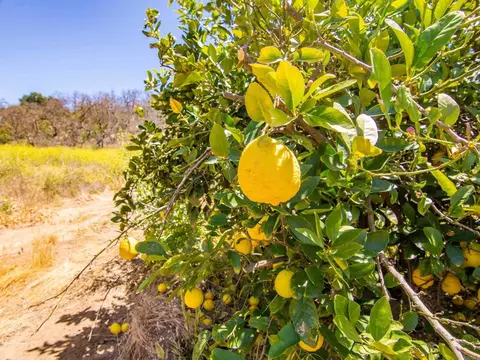 Other - 214 Creelman Ln, Ramona, CA 92065 photo 5 of 5