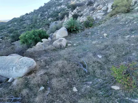 Rainbow Peaks Trail, Fallbrook, CA 92028 photo 23
