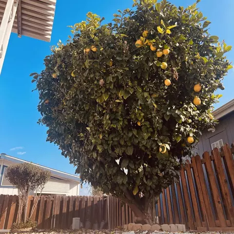 27250 Murrieta Rd #364, Menifee, CA 92586