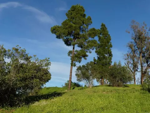 725 Yucca Rd, Fallbrook, CA 92028 photo 33