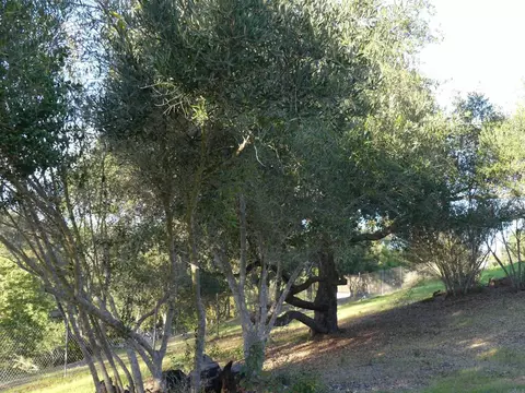 725 Yucca Rd, Fallbrook, CA 92028 photo 43