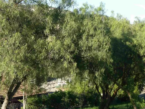 725 Yucca Rd, Fallbrook, CA 92028 photo 15
