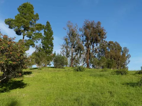 725 Yucca Rd, Fallbrook, CA 92028 photo 41