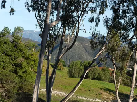 725 Yucca Rd, Fallbrook, CA 92028 photo 31