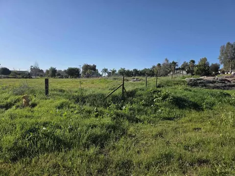 Amigos, Ramona, CA 92065