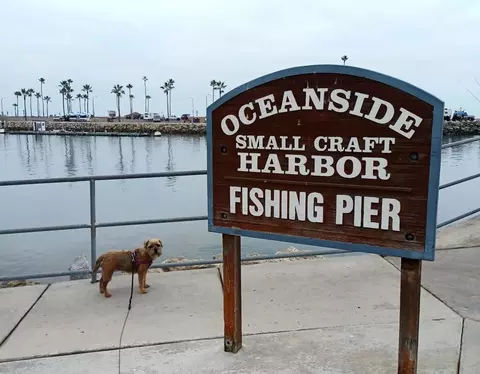 1202 N Pacific St #209B, Oceanside, CA 92054