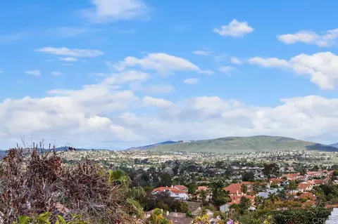 1402 Village View Rd, Encinitas, CA 92024