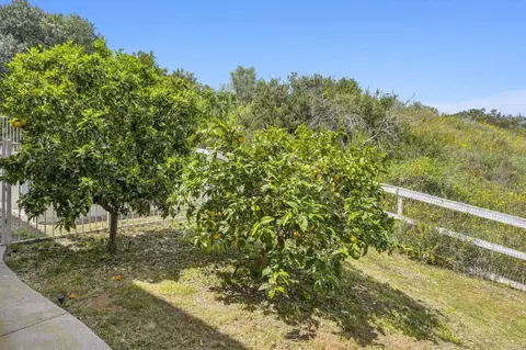 Exterior - 970 Dove Run Rd, Encinitas, CA 92024 photo 13 of 15