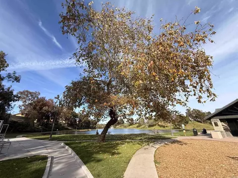 Exterior - 525 Calle Montecito #122, Oceanside, CA 92057 photo 3 of 5