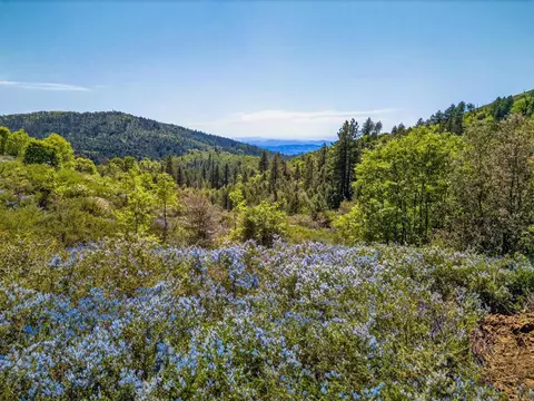 200 Palomar Divide Truck Trl, Palomar Mountain, CA 92060