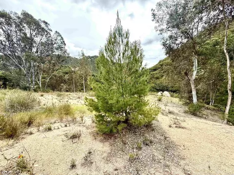 0 Mt Olympus Valley Rd, Fallbrook, CA 92028 photo 44