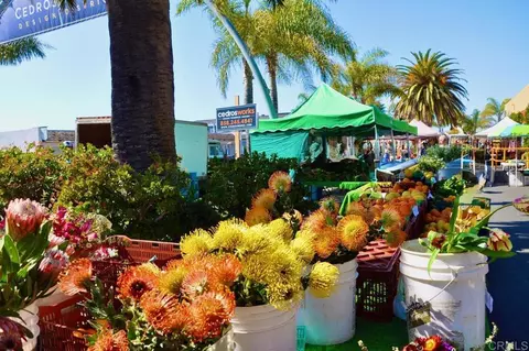 Other - 212 N Helix Ave, Solana Beach, CA 92075 photo 6 of 7