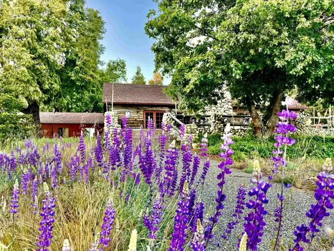 22228 Crestline Rd, Palomar Mountain, CA 92060