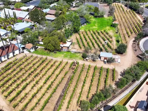 View/Area - 13348 Old Winery Rd, Poway, CA 92064 photo 4 of 9