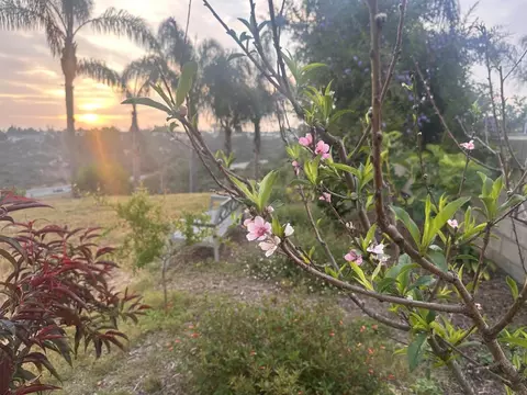 4361 Post Rd, San Diego, CA 92117