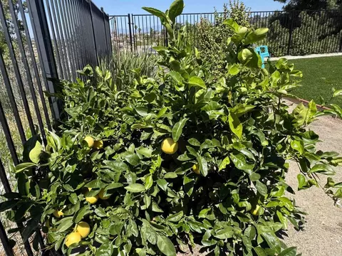 Other - 5253 Champlain St, Oceanside, CA 92056 photo 7 of 7