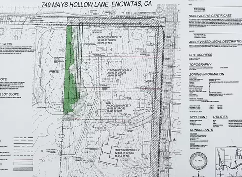Mays Hollow Lane, Encinitas, CA 92024 photo 6
