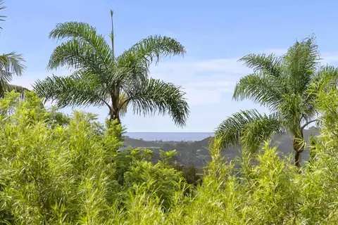 View/Area - 3401 Adams Run, Encinitas, CA 92024 photo 3 of 4