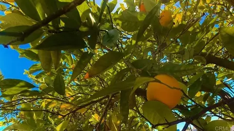 Other - 14744 Roberto Rio Rd, Poway, CA 92064 photo 6 of 7