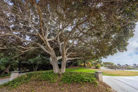 Exterior - 375 W I St, Encinitas, CA 92024 photo 4 of 5