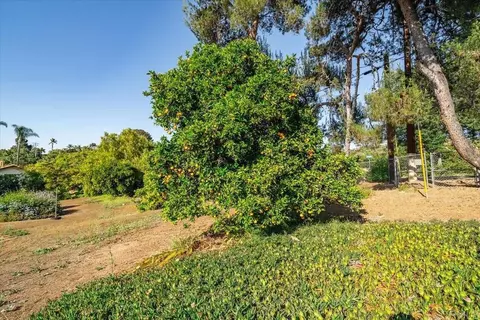 Exterior - 1960 Elevado Rd, Vista, CA 92084 photo 20 of 23