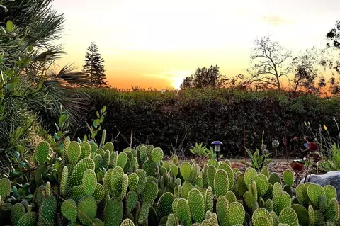 Exterior - 1534 Linda St, Fallbrook, CA 92028 photo 9 of 11