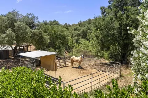 Exterior - 24627 Watt Rd, Ramona, CA 92065 photo 2 of 22