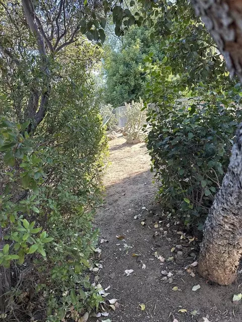 Exterior - 15326 Moonglow Dr, Ramona, CA 92065 photo 15 of 16