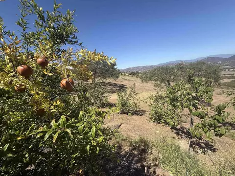 Hawks View Way, Fallbrook, CA 92028 photo 22