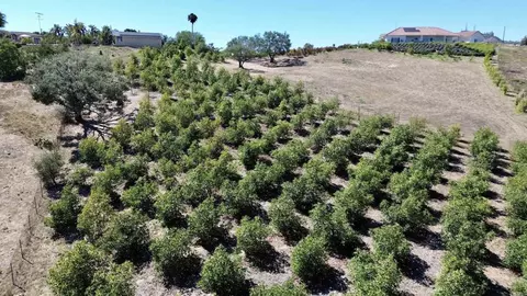 Hawks View Way, Fallbrook, CA 92028 photo 4