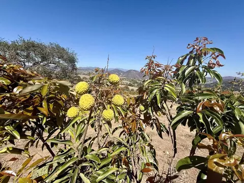 Hawks View Way, Fallbrook, CA 92028 photo 24
