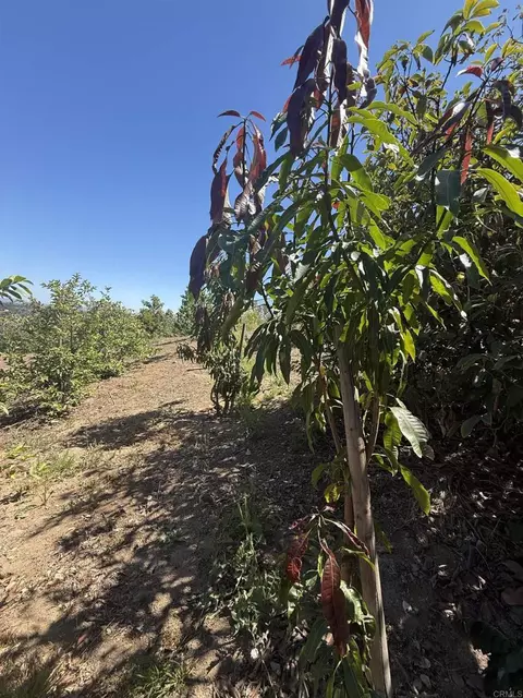 Hawks View Way, Fallbrook, CA 92028 photo 21