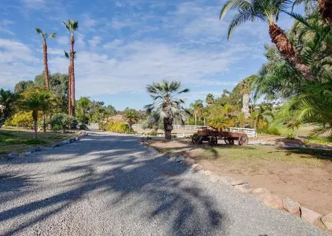 623 Quail Gardens Ln, Encinitas, CA 92024 photo 6