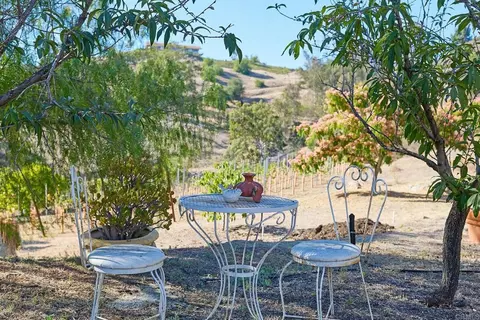 2970 El Coyote Run, Fallbrook, CA 92028 photo 29
