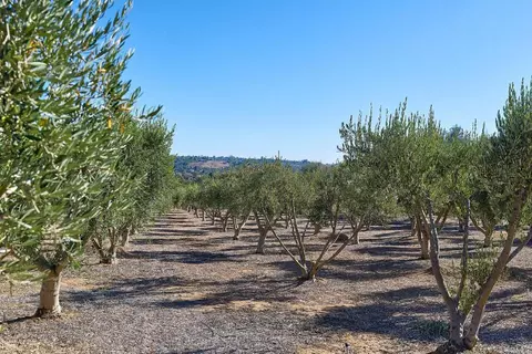 2970 El Coyote Run, Fallbrook, CA 92028 photo 28
