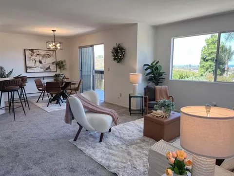 155 Rosebay Dr #2, Encinitas, CA 92024 photo 4