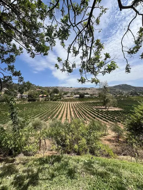 2829 Golfview Dr, Fallbrook, CA 92028 photo 5