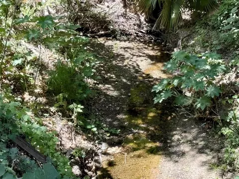 764 Old Highway 395, Fallbrook, CA 92028 photo 9
