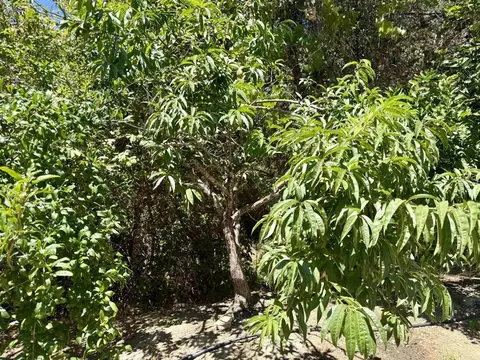 764 Old Highway 395, Fallbrook, CA 92028 photo 40