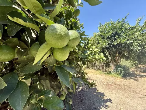 764 Old Highway 395, Fallbrook, CA 92028 photo 21