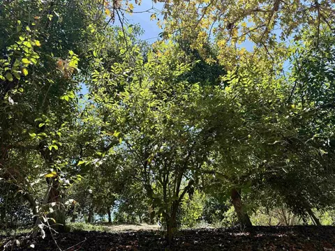 764 Old Highway 395, Fallbrook, CA 92028 photo 36