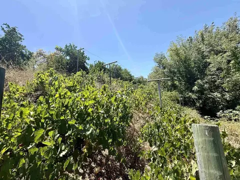 764 Old Highway 395, Fallbrook, CA 92028 photo 45