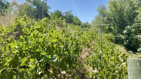 764 Old Highway 395, Fallbrook, CA 92028 photo 29