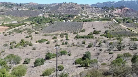 9927 Modrigan Ln, Fallbrook, CA 92028 photo 32