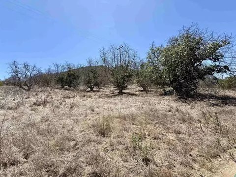 9927 Modrigan Ln, Fallbrook, CA 92028 photo 16